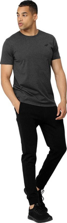 Koszulka męska 4F szara H4Z22 TSM352 23M