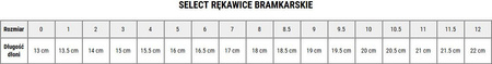 Rękawice bramkarskie Select 04 Protection Flat Cut v24 czarno-granatowe 18448