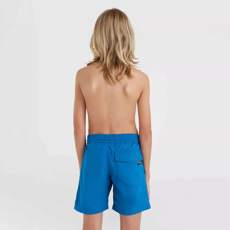 Dziecięce szorty O'neill VERT 14" SWIM SHORTS mary poppins rozmiar 140