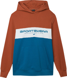 Bluza męska 4F M1032 brąz 4FWSS24TSWSM1032 81S