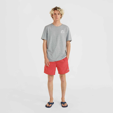 Męskie szorty O'neill Vert 16'' Swim Shorts high risk red rozmiar L