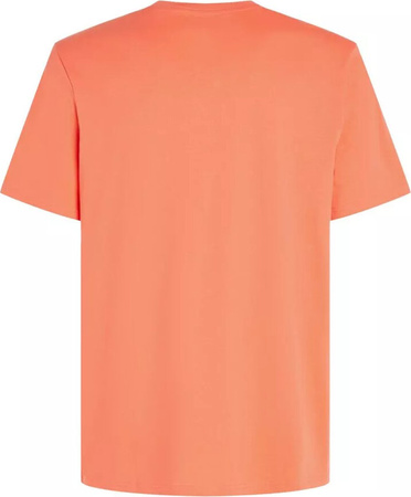 Męska koszulka z krótkim rękawem O'neill MIX