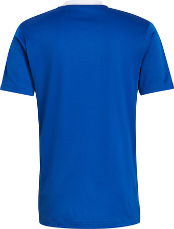 Koszulka męska adidas Tiro 21 Training Jersey niebieska GM7589