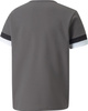 Koszulka dla dzieci Puma teamRISE Jersey Jr szara 704938 13