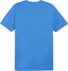 Koszulka męska Puma Team Goal Casuals Tee niebieska 658615 02