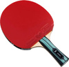 Rakietka do tenisa stołowego ping ponga Butterfly Team Advance