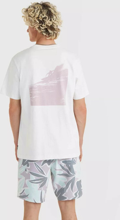 Męska koszulka z krótkim rękawem O'neill OG BT T-SHIRT natural rozmiar M