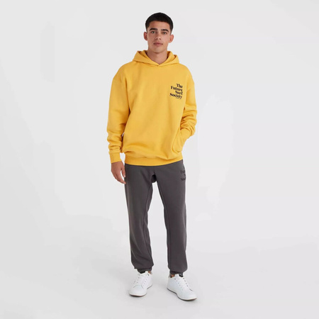Męska bluza O'neill FUTURE SURF SOCIETY HOODIE golden haze rozmiar M