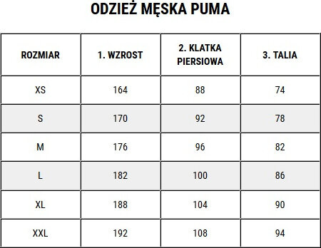 Koszulka męska Puma teamLIGA Jersey biała 704917 04