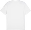 Koszulka męska Puma TeamGoal Jersey biała 658636 04