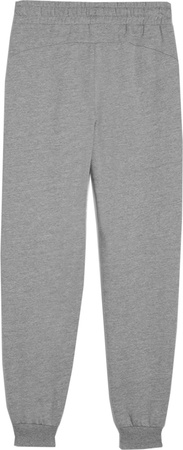 Spodnie dla dzieci Puma Team Goal szare 658601 33