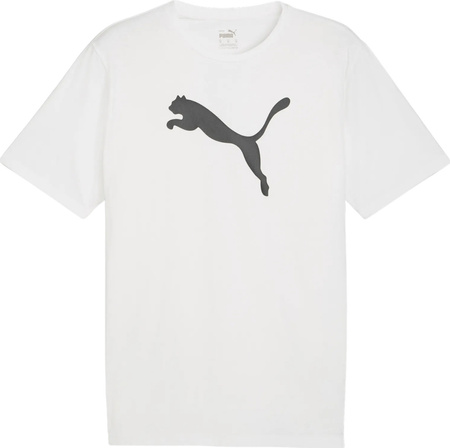 Koszulka męska Puma Team Rise Logo Jersey Cotton biała 658705 04