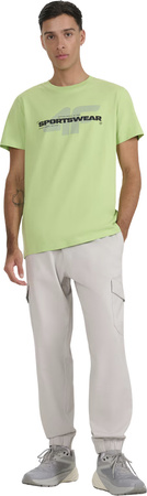 Spodnie męskie 4F CAS M1210 szare 4FWAW25TTROM1210 27S