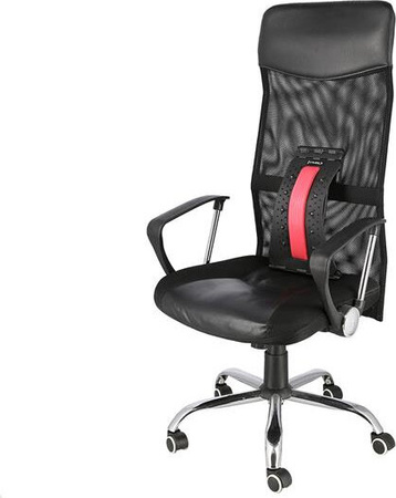 Przyrząd do rozciągania pleców z magnesami HMS prp02 czerwony