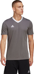 Koszulka męska adidas Entrada 22 Jersey szara