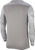 Bluza bramkarska męska Nike Dry Park IV JSY LS GK szara CJ6066 052