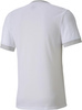 Koszulka męska Puma teamGOAL 23 Jersey biała 704171 04