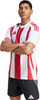 Koszulka męska adidas Striped 24 Jersey biało-czerwona IW2142