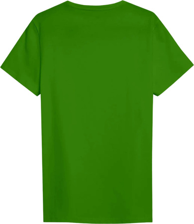 Koszulka męska 4F M3095 zielona 4FWSS25TTSHM3095 41S