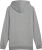 Bluza męska Puma Ess  Logo LAB Gradient Hoodie FL szara 681775 03
