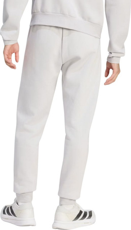 Spodnie męskie adidas Entrada 26 Sweat szare JZ9139