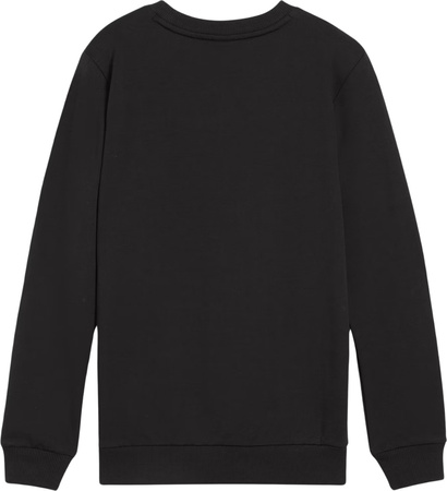 Bluza dla dzieci Puma Team Goal Casuals Crew Neck Sweat czarna 658593 03