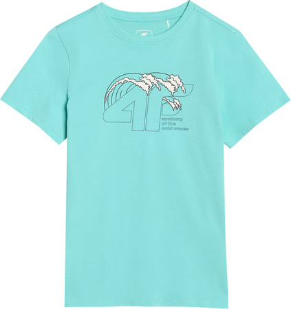 Koszulka dla chłopca 4F M1917 miętowa 4FJWSS25TTSHM1917 47S