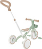 Rowerek Trójkołowy / Biegowy Learning Trike 3w1 Plus Ecologic (738-109)