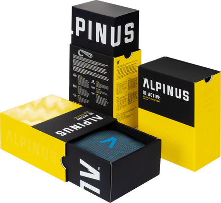 Spodnie termoaktywne męskie Alpinus Active Base Layer szare GT43865