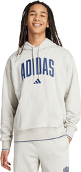 Bluza męska adidas Collegiate Hoodie jasnoszara KC3872