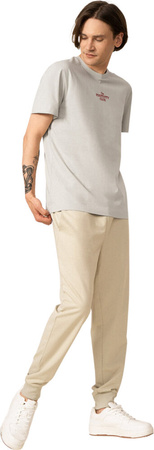 Koszulka męska Outhorn M451 szara OTHSS23TTSHM451 25S