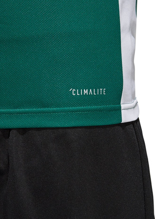 Koszulka dla dzieci adidas Entrada 18 Jersey JUNIOR zielona CE9563