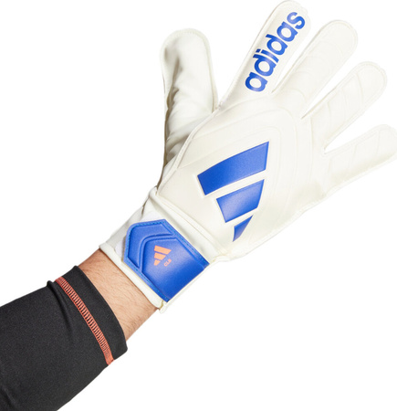 Rękawice bramkarskie adidas Copa Club Goalkeeper biało-niebieskie IX3835