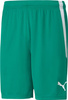 Spodenki męskie Puma teamLIGA zielone 704924 05