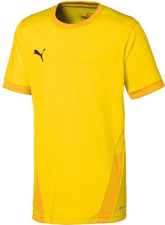 Koszulka dla dzieci Puma teamGOAL 23 Jersey żółta 704160 07