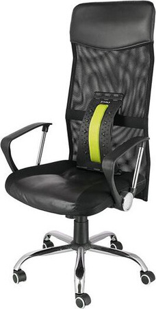 Przyrząd do rozciągania pleców z magnesami HMS prp02 zielony