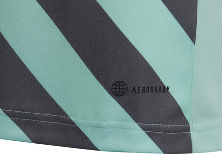 Koszulka dla dzieci adidas Entrada 22 Graphic Jersey miętowo-szara HF0127