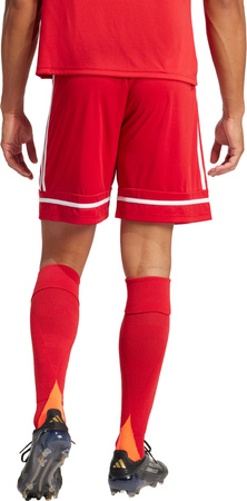 Spodenki męskie adidas Squadra 25 czerwone JN5466