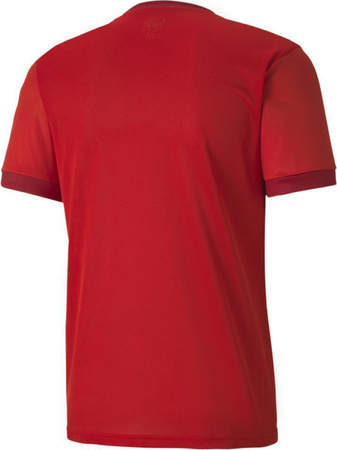 Koszulka męska Puma teamGOAL 23 Jersey czerwona 704171 01