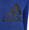 Bluza dla dzieci adidas Youth Essentials Hoodi niebieska HN1912