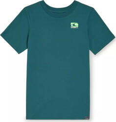 Dziecięca koszulka z krótkim rękawem O'neill JACK O'NEILL T-SHIRT beetle juice rozmiar 164