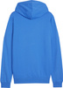 Bluza męska Puma Team Goal Casuals Hoody niebieska 658618 02