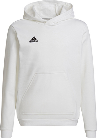 Bluza dla dzieci adidas Entrada 22 Hoody biała HG6303
