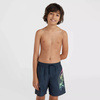 Dziecięce szorty O'neill CIRCLE SURFER 14" SWIM SHORTS outer space circle surfer grandient panel rozmiar 164