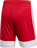 Spodenki treningowe krótkie męskie adidas Tastigo 19 Shorts czerwone DP3681