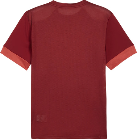 Koszulka męska Puma teamGoal Matchday Jersey bordowa 705747 09
