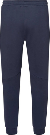 Męskie spodnie dresowe Iguana Milton rozmiar XXL