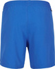 Męskie szorty O'neill CALI SHORTS rozmiar XL