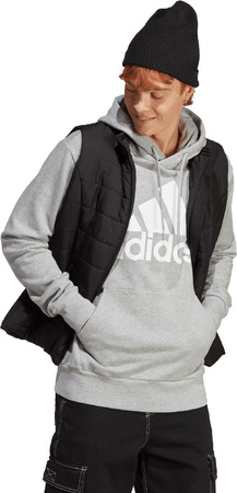 Bluza męska adidas Essentials French Terry Big Logo Hoodie szara IC9364