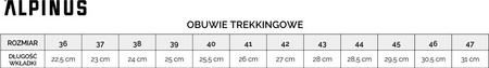 Buty trekkingowe Alpinus Cartujo antracytowo-brązowe GR43622